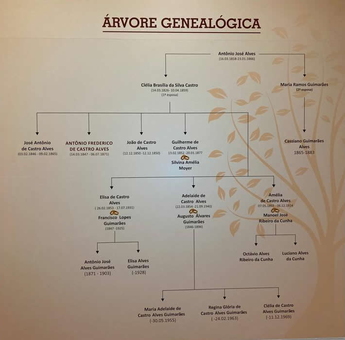 Árvore genealógica